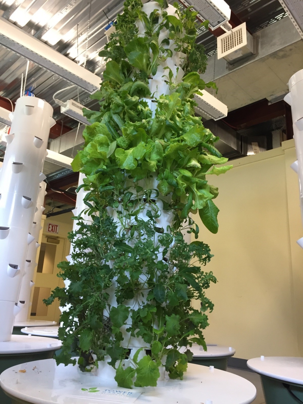 02/25/2021 Build Your Own Hydroponic Growing Tower Part 1 Bigelow Free Public Library